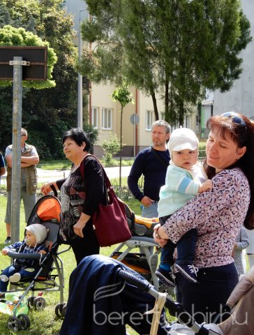 Életfát ültettünk 10